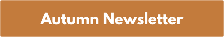 Autumn Newsletter 2025