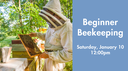 Beginner Beekeeping