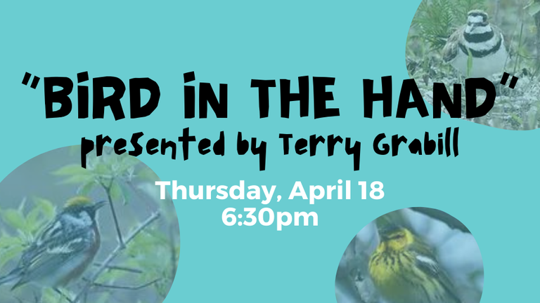 "Bird in the Hand" presented by Terry Grabill