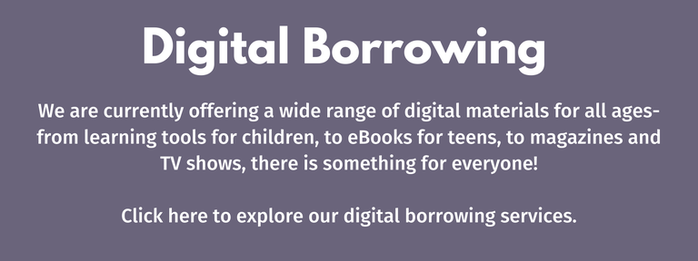 Digital Borrowing 