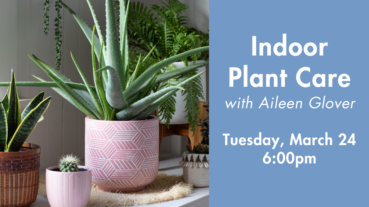 Indoor Plant Care.png