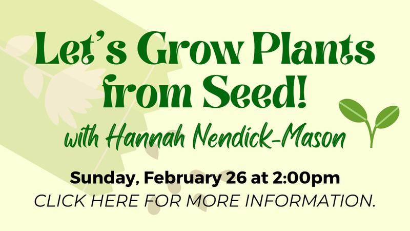 Let's Grow Plants from Seed!